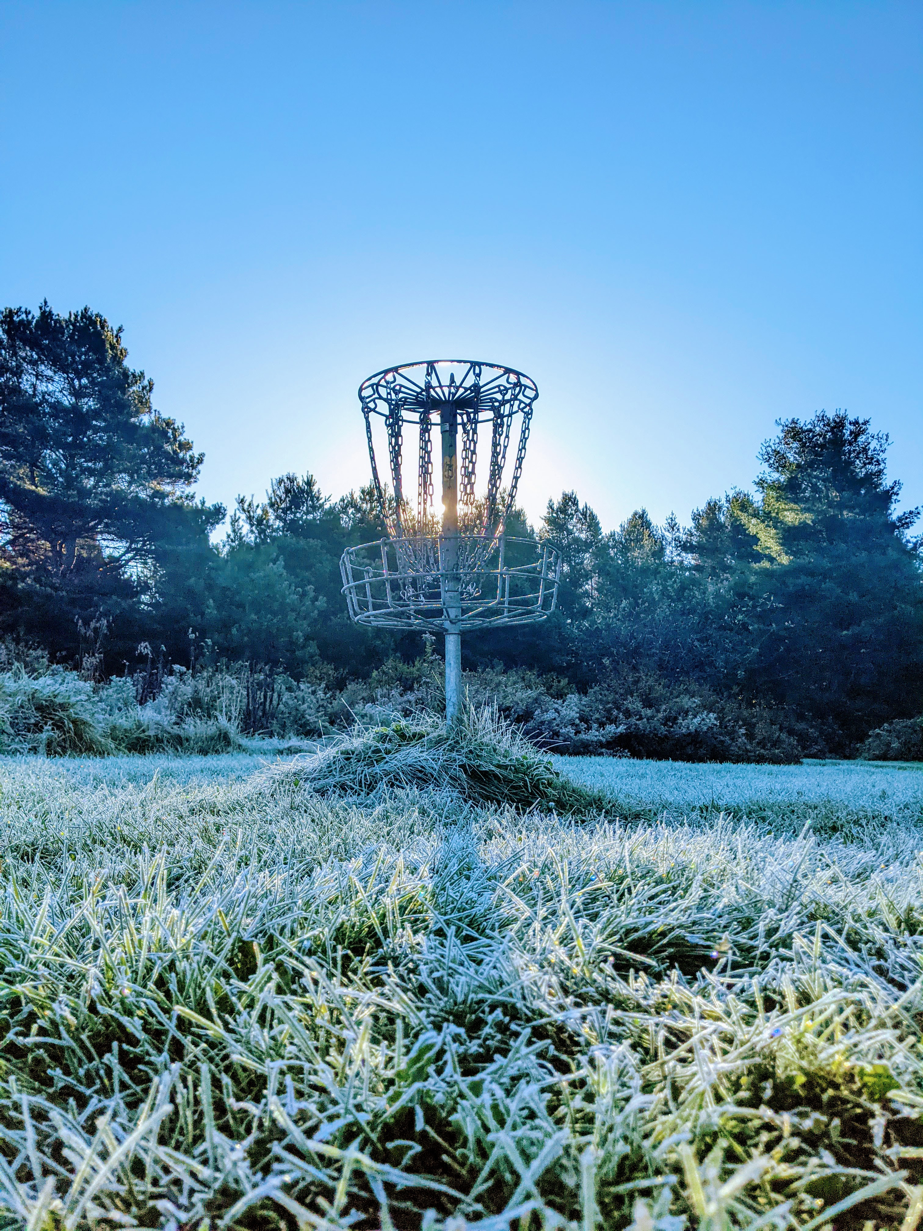 Disc Golf is played year round!